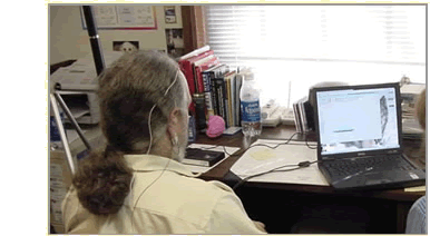 brain trainer home training program Brain Trainer home training program