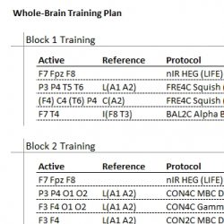 Whole-Brain Training Plan