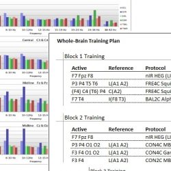 Plan de entrenamiento de Whole-Brain