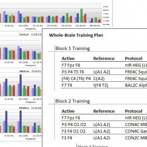 Whole-Brain Training Plan
